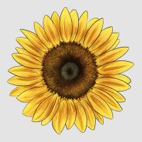 Giganteus Sunflower Premium Sweatshirt | Teevron