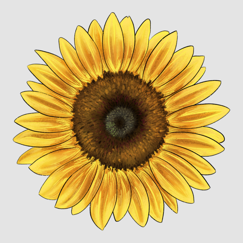 Giganteus Sunflower Premium Sweatshirt by LillyAllenDesigns | Teevron