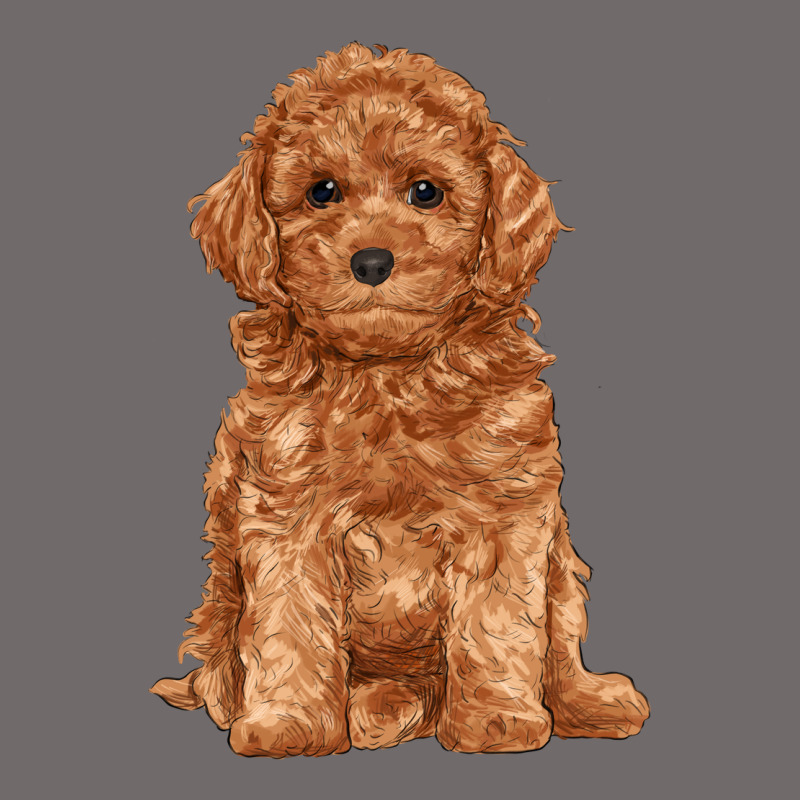 Toy Poodle Urban Heavy Tee by RanaPortraitStore | Teevron