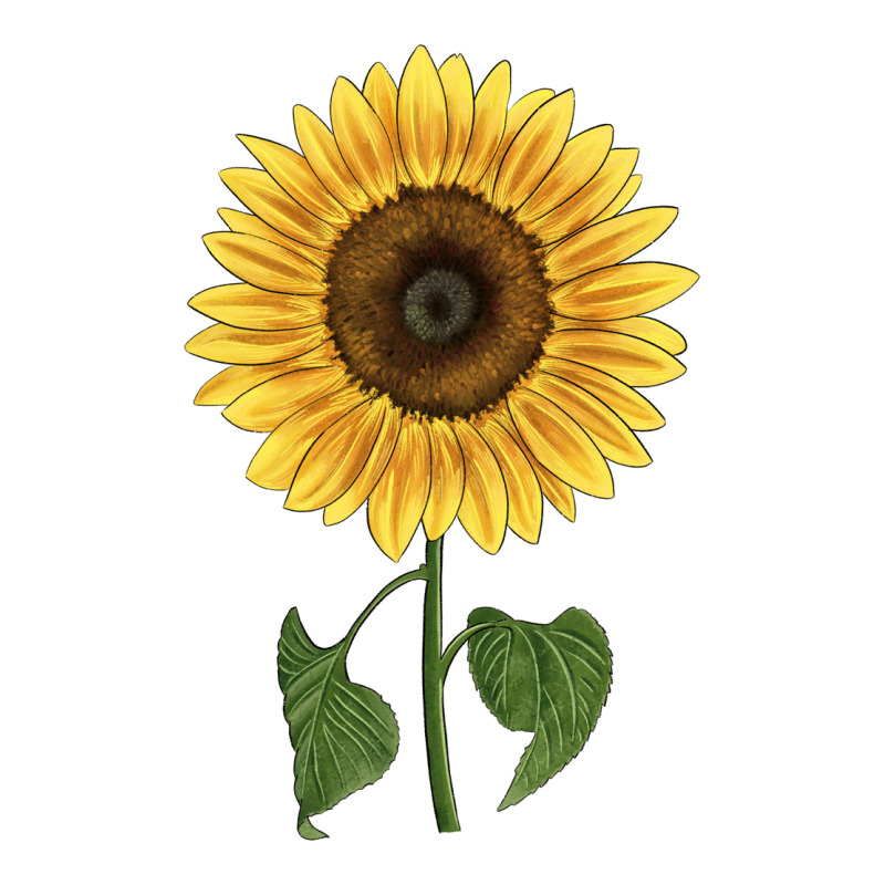 Giganteus Sunflower Premium Sweatshirt by LillyAllenDesigns | Teevron