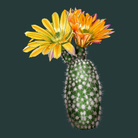 Texas Rainbow Cactus Premium Sweatshirt | Teevron
