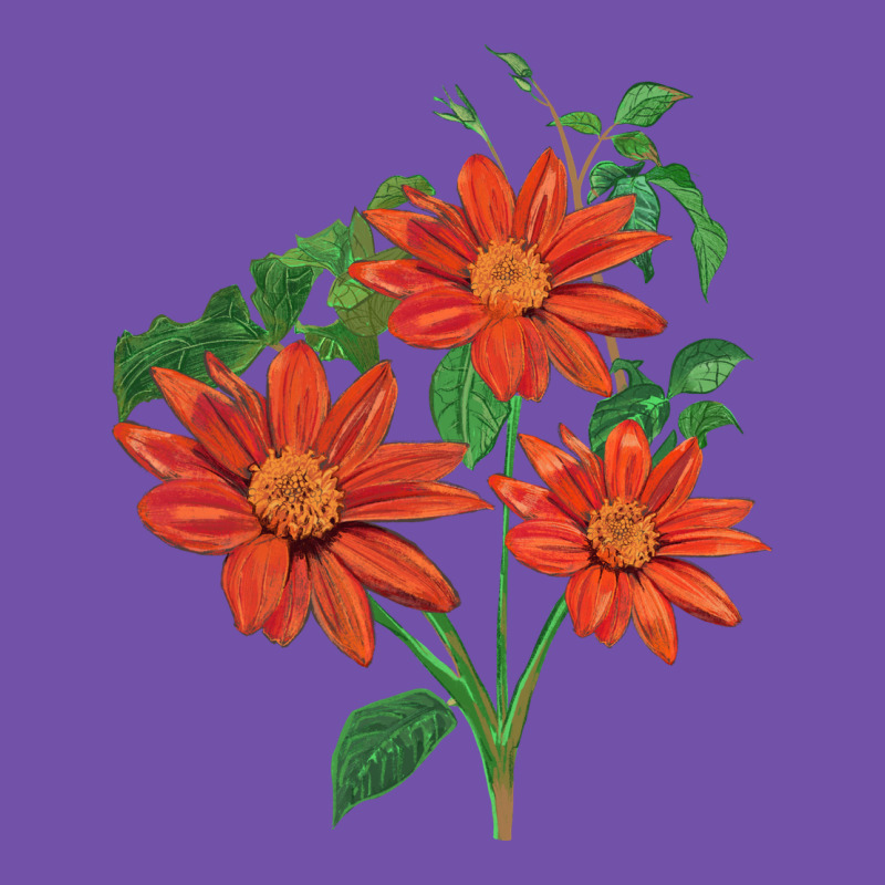 Tithonia Fiesta Del Sol Sunflower Premium Sweatshirt by LillyAllenDesigns | Teevron