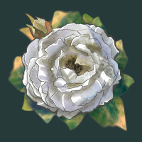 Pillow Fight Rose Premium Sweatshirt | Teevron