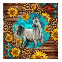 arabian horse | Teevron