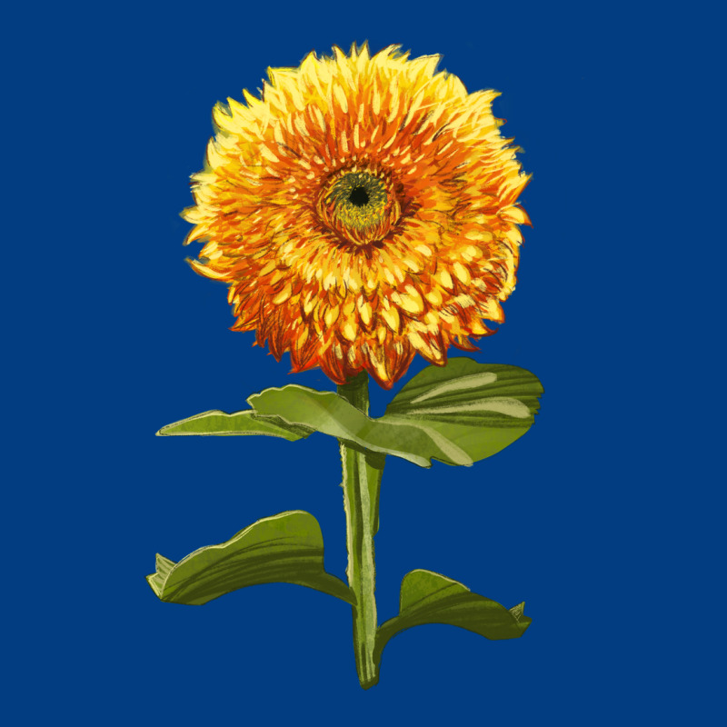 Gummy Bear Sunflower Premium Sweatshirt by LillyAllenDesigns | Teevron