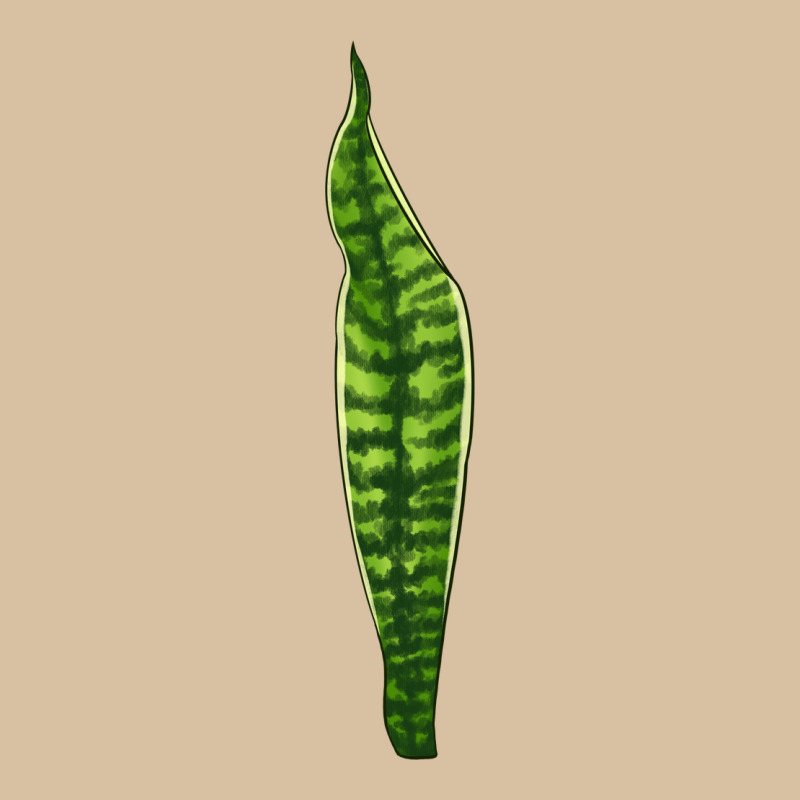 Snake Plant Heavyweight Hoodie by LillyAllenDesigns | Teevron