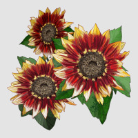 Florenza Sunflower Premium Sweatshirt | Teevron