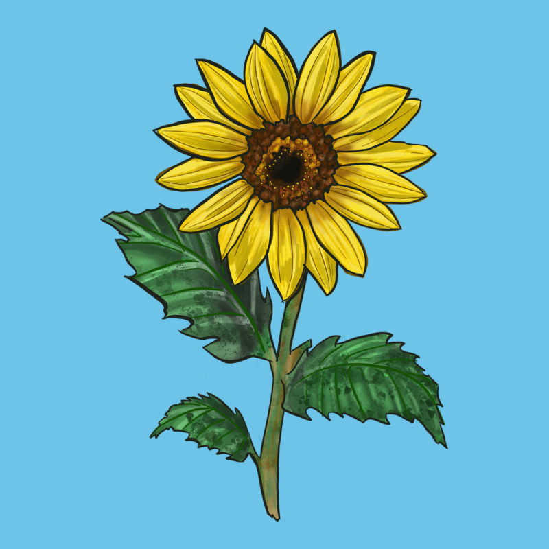 Sunray Yellow Sunflower Premium Sweatshirt by LillyAllenDesigns | Teevron