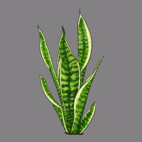 Snake Plant Heavyweight Hoodie | Teevron