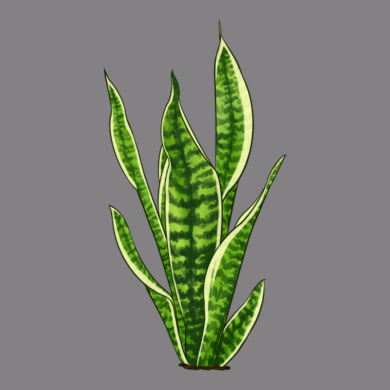 Snake Plant Heavyweight Hoodie by LillyAllenDesigns | Teevron