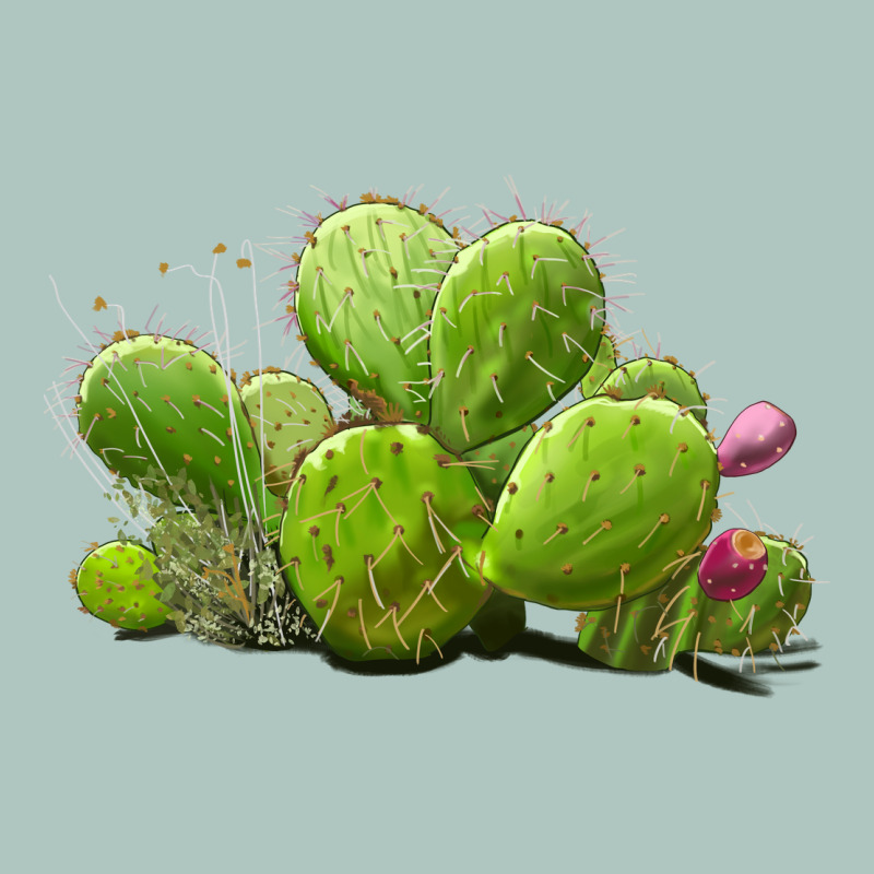 Desert Prickly Pear Cactus Premium Sweatshirt by LillyAllenDesigns | Teevron