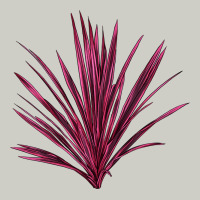 Pink Cordyline Heavyweight Hoodie | Teevron