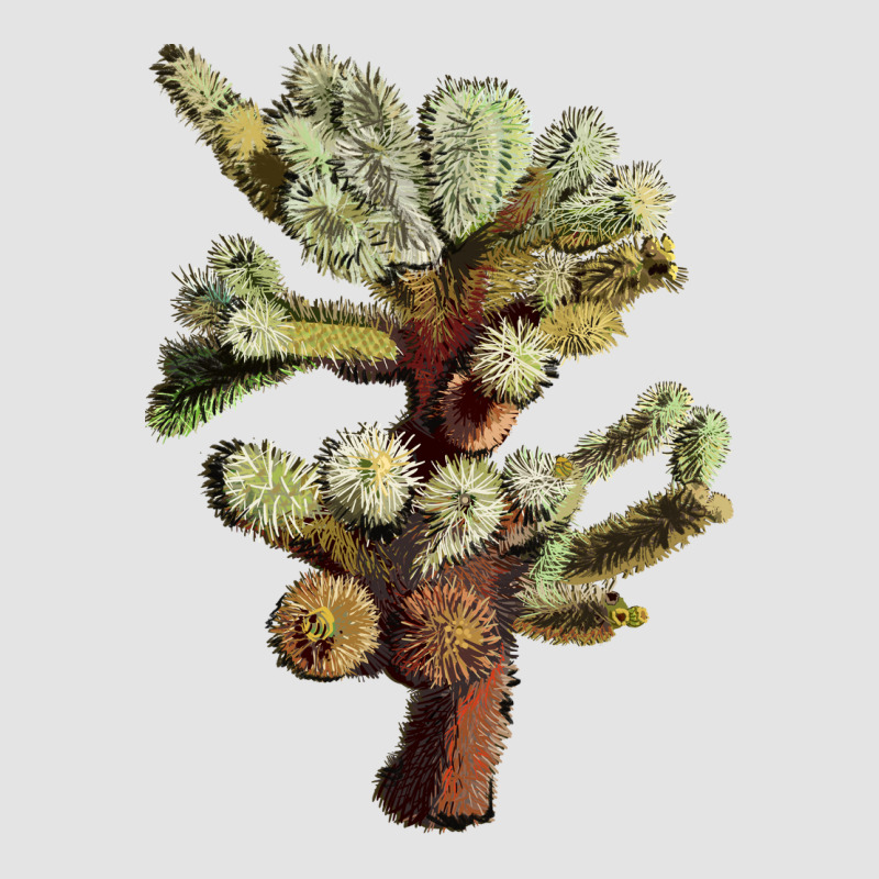 Cholla Tree Cactus Premium Sweatshirt by LillyAllenDesigns | Teevron