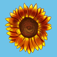 Tiger Eyes Sunflower Premium Sweatshirt | Teevron
