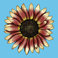 Strawberry Blonde Sunflower Premium Sweatshirt | Teevron
