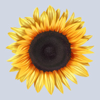 Treetops Sunflower Premium Sweatshirt | Teevron