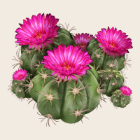 Eagle Claws Cacti Premium Sweatshirt | Teevron