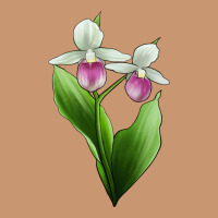Pink And White Lady's Slipper Flower Illustrations Heavyweight Hoodie | Teevron