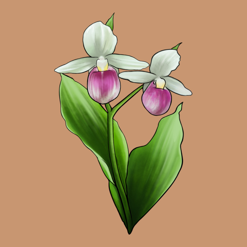 Pink And White Lady's Slipper Flower Illustrations Heavyweight Hoodie by LillyAllenDesigns | Teevron