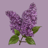 Purple Lilac Flower Illustrations Heavyweight Hoodie | Teevron