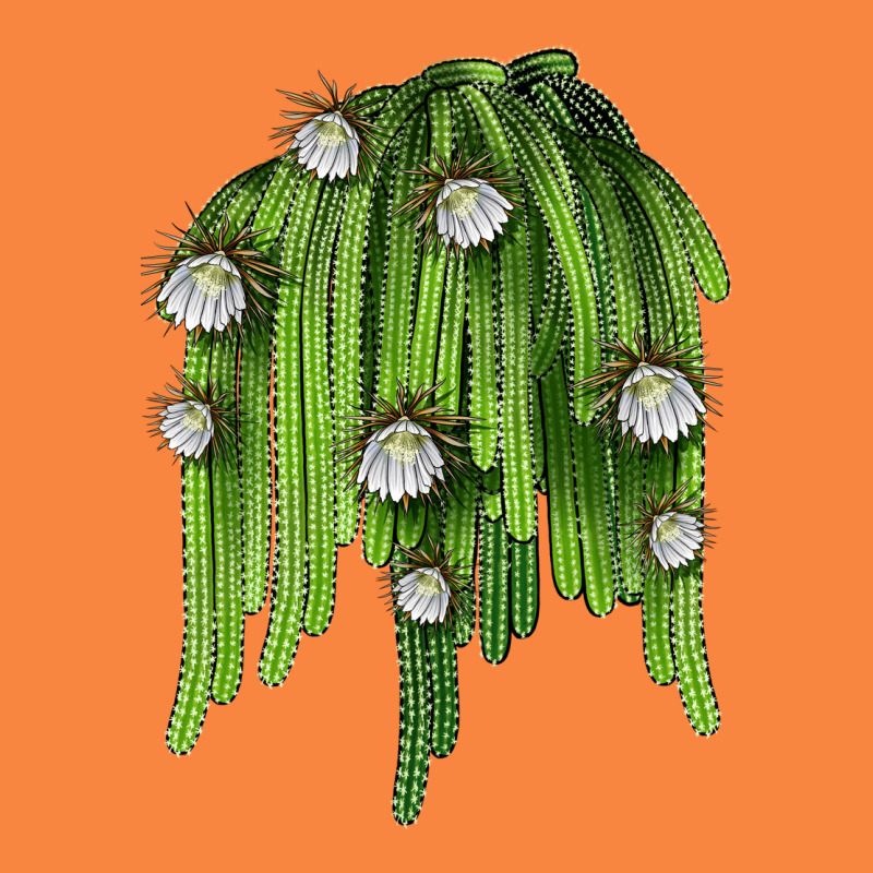 Selenicereus Cactus Premium Sweatshirt by LillyAllenDesigns | Teevron