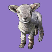 Southdown Baby Sheep Urban Hoodie | Teevron