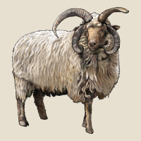Navajo Churro Sheep Urban Hoodie | Teevron