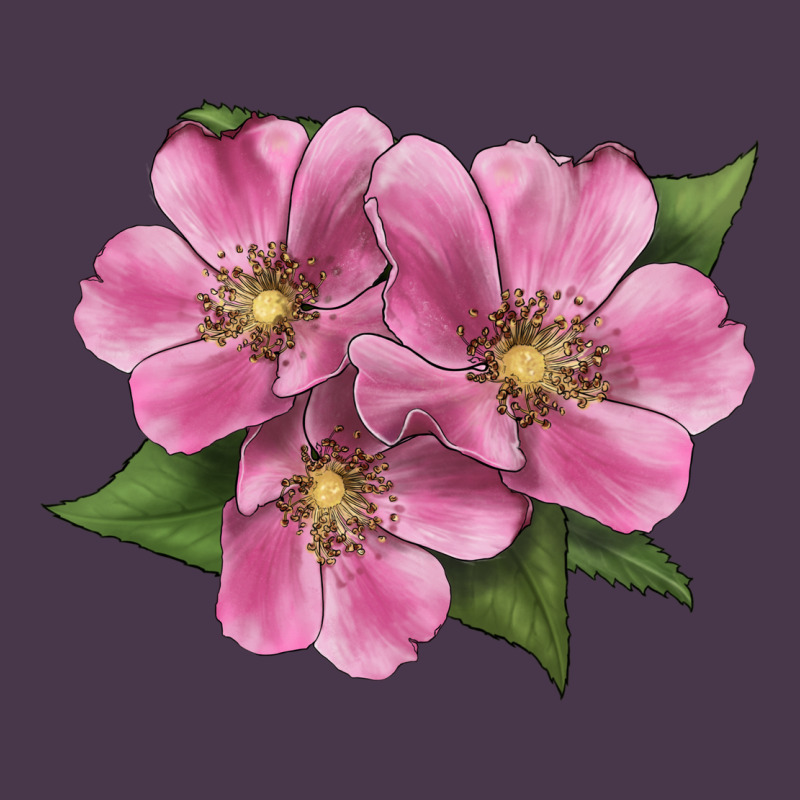 Wild Prairie Rose Illustrations Heavyweight Hoodie by LillyAllenDesigns | Teevron