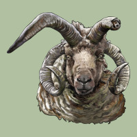 Navajo Churro Sheep Head Urban Hoodie | Teevron