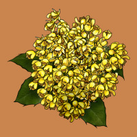 Oregon Grape Flower Illustrations Heavyweight Hoodie | Teevron