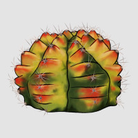 Gymnocalycium Variegated Cactus Premium Sweatshirt | Teevron