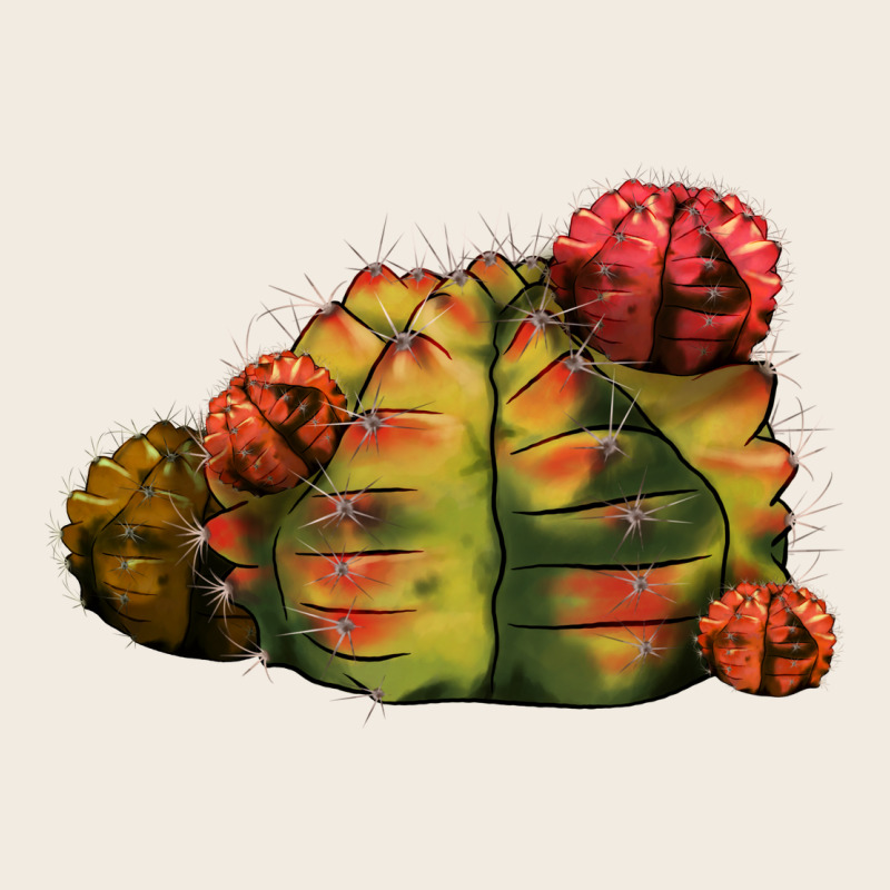 Gymnocalycium Variegated Cactus Premium Sweatshirt by LillyAllenDesigns | Teevron