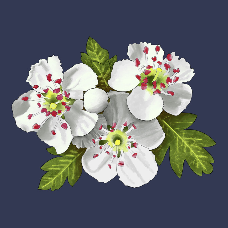 Hawthorn Flower Illustrations Heavyweight Hoodie by LillyAllenDesigns | Teevron