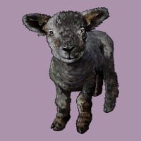 Southdown Baby Sheep Heavyweight Hoodie | Teevron