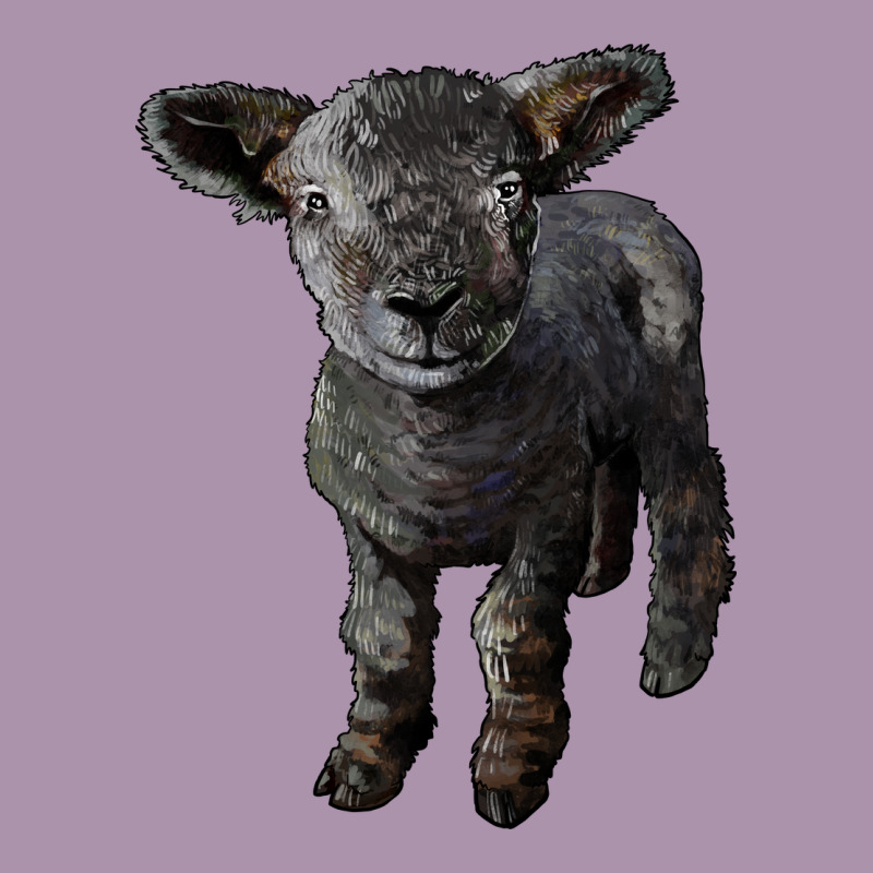Southdown Baby Sheep Heavyweight Hoodie by LillyAllenDesigns | Teevron