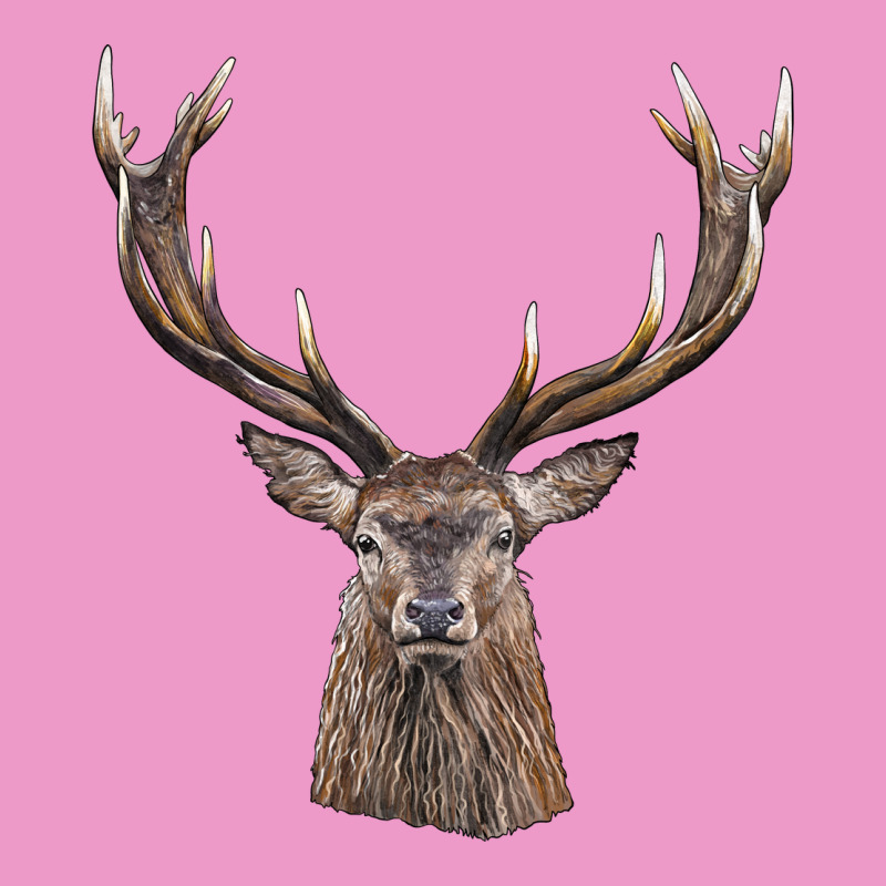 Elk Deer Head Urban Hoodie by LillyAllenDesigns | Teevron