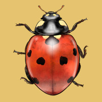 Lady Bug Premium Sweatshirt | Teevron