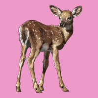 White Tailed Fawn Deer Urban Hoodie | Teevron