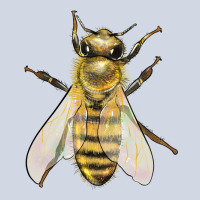 Bee Premium Sweatshirt | Teevron