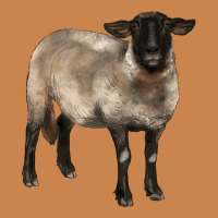 Suffolk Ewe Heavyweight Hoodie | Teevron