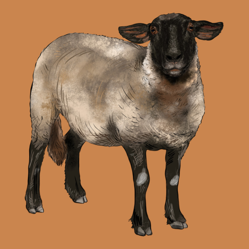 Suffolk Ewe Heavyweight Hoodie by BarkalooDesign | Teevron