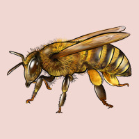 Bee Side Premium Sweatshirt | Teevron