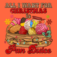 All I Want For Christmas Is Pan Dulce Premium Hoodie | Teevron