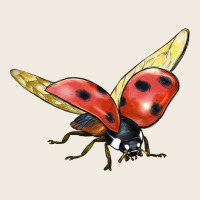 Ladybug Flying Premium Sweatshirt | Teevron