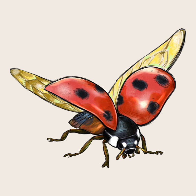 Ladybug Flying Premium Sweatshirt by LillyAllenDesigns | Teevron