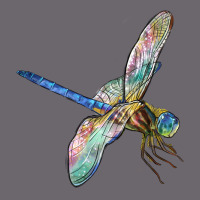 Dragon Fly Premium Sweatshirt | Teevron