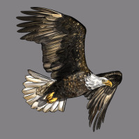 White Headed Eagle Heavyweight Hoodie | Teevron