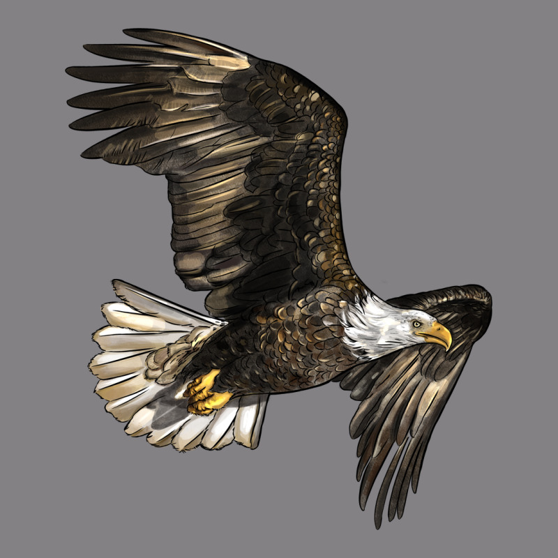 White Headed Eagle Heavyweight Hoodie by LillyAllenDesigns | Teevron