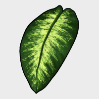 Dumb Cane Leaf Urban Hoodie | Teevron