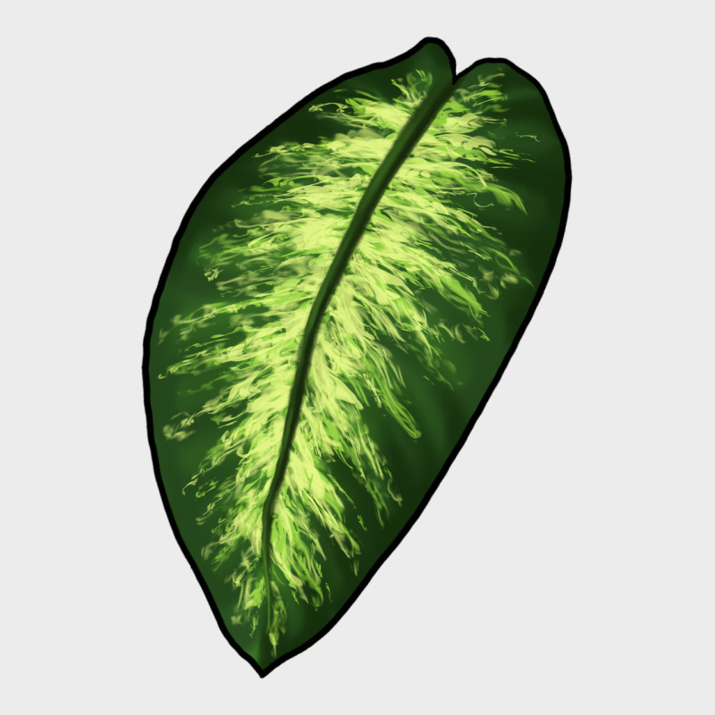 Dumb Cane Leaf Urban Hoodie by LillyAllenDesigns | Teevron